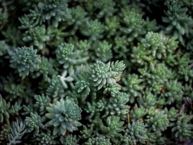 Discord账号交易<br>买卖过户防骗防找回标准流程